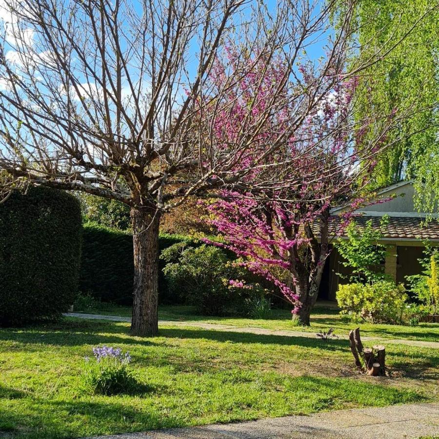 Saint-Medard-de-Mussidan Les Cedres Bleus B&B 외부 사진
