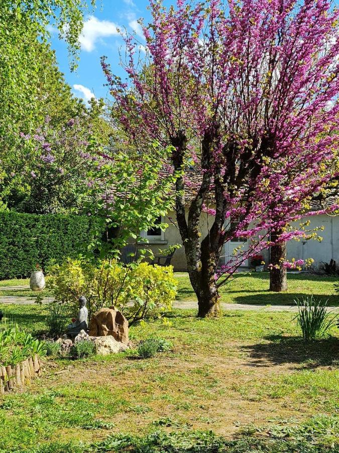 Saint-Medard-de-Mussidan Les Cedres Bleus B&B 외부 사진